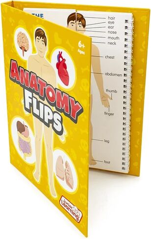 Junior Learning JL647 Anatomy Flips, Multi in Saudi Arabia