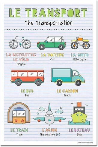 Quarterhouse French Verbs & Beginner Vocabulary (Set A) Poster Set, French Classroom Learning Materials for K-12 Students and Teachers, Set of 11, 12 x 18 Inches, Extra Durable in Kuwait
