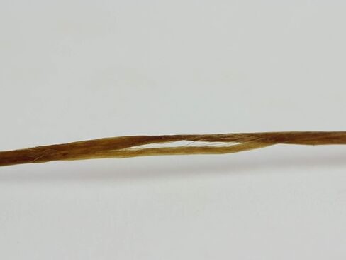 خيط شمع سينوو صناعي - 34 ياردة/30.48 متر (طبيعي داكن) A8 in Kuwait