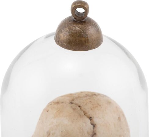 Tim Holtz Idea-ology Miniature Decorative Domes 2/Pack, Clear Glass and Antique Brass (TH93265) in Saudi Arabia