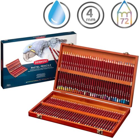 Derwent Pastel Pencils, 4mm Core, Wooden Box, 48 Count (0700644) in Saudi Arabia