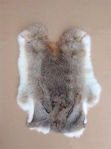 Natural Rabbit Fur Pelt Real Tanned Rabbit Skin Hide Sewing Quality Pelts (10" by 12") Rabbit Pelt with Soft Professionally Leather (Dye Black,4pack) in Saudi Arabia