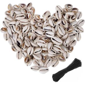 300 PCS Grey 0.63"-0.71" Natural Strong Cowrie Shell Beads Smooth Cut Oval Seashells, Beach Seashells with Big Hole for DIY Craft Jewelry Making, Adorning Hair Locks and Braids in Kuwait