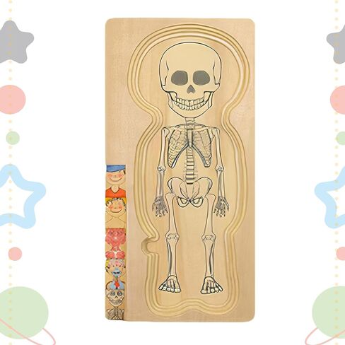 Kidzlane African American Boy Wooden My Body Puzzle for Toddlers & Kids - 29 Piece Girls Anatomy Puzzle Kid Play Set - Anatomy for Kids, Skeleton Toys for Kids Ages 3 Plus in Kuwait