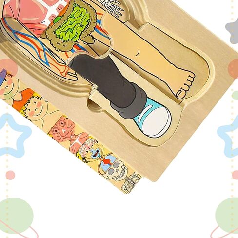 Kidzlane African American Boy Wooden My Body Puzzle for Toddlers & Kids - 29 Piece Girls Anatomy Puzzle Kid Play Set - Anatomy for Kids, Skeleton Toys for Kids Ages 3 Plus in Kuwait