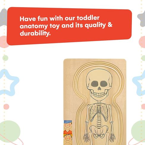 Kidzlane African American Boy Wooden My Body Puzzle for Toddlers & Kids - 29 Piece Girls Anatomy Puzzle Kid Play Set - Anatomy for Kids, Skeleton Toys for Kids Ages 3 Plus in Kuwait