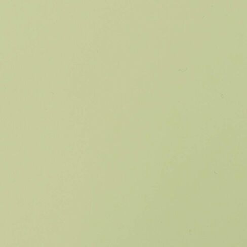 أوراق فينيل بيج من كرافتبابلز - متينة ولاصقة ولامعة ومقاومة للماء | (10) 30.48 سم × 30.48 سم - للحرف اليدوية والكريكوت والصورة الظلية والتعبيرات والكاميو والعلامات in Kuwait