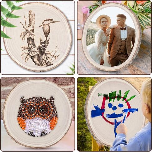 شرائح خشبية كبيرة 12-13 بوصة 6 قطع خشبية دائرية للقطع المركزية 12-13 بوصة أقراص خشبية مستديرة شرائح خشبية غير مكتملة للقطع المركزية/الحرف اليدوية/الديكور/زينة عيد الميلاد in Kuwait