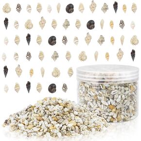 Wpxmer Sea Shells Bulk, 1200 Pieces Tiny Ocean Spiral Seashells Craft Charms for Party Wedding Decor, Home Decorations and Fish Tank Vase Fillers in Kuwait