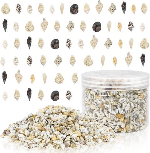 Wpxmer Sea Shells Bulk, 1200 Pieces Tiny Ocean Spiral Seashells Craft Charms for Party Wedding Decor, Home Decorations and Fish Tank Vase Fillers in Kuwait