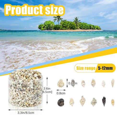 Wpxmer Sea Shells Bulk, 1200 Pieces Tiny Ocean Spiral Seashells Craft Charms for Party Wedding Decor, Home Decorations and Fish Tank Vase Fillers in Kuwait