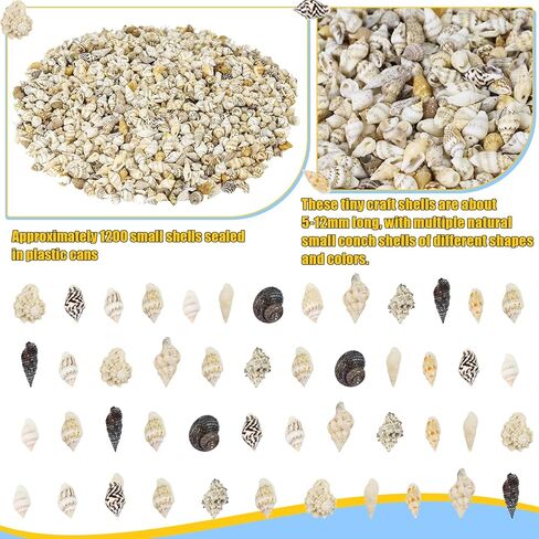 Wpxmer Sea Shells Bulk, 1200 Pieces Tiny Ocean Spiral Seashells Craft Charms for Party Wedding Decor, Home Decorations and Fish Tank Vase Fillers in Kuwait