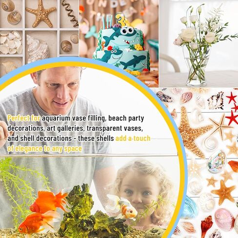 Wpxmer Sea Shells Bulk, 1200 Pieces Tiny Ocean Spiral Seashells Craft Charms for Party Wedding Decor, Home Decorations and Fish Tank Vase Fillers in Kuwait