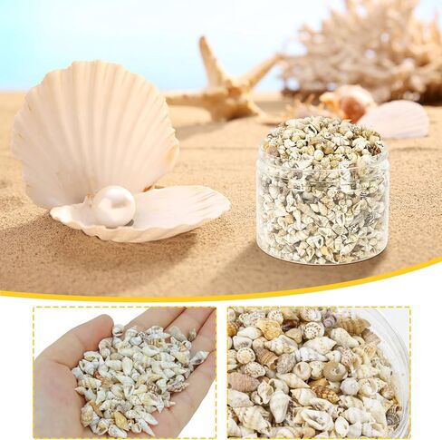 Wpxmer Sea Shells Bulk, 1200 Pieces Tiny Ocean Spiral Seashells Craft Charms for Party Wedding Decor, Home Decorations and Fish Tank Vase Fillers in Kuwait