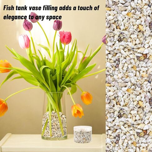 Wpxmer Sea Shells Bulk, 1200 Pieces Tiny Ocean Spiral Seashells Craft Charms for Party Wedding Decor, Home Decorations and Fish Tank Vase Fillers in Kuwait