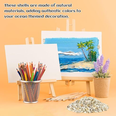 Wpxmer Sea Shells Bulk, 1200 Pieces Tiny Ocean Spiral Seashells Craft Charms for Party Wedding Decor, Home Decorations and Fish Tank Vase Fillers in Kuwait