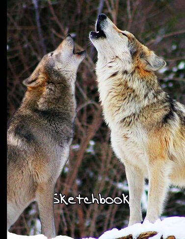 Sketchbook: Wolf Themed Personalized Artist Book | Soft Cover Blank Sketch Pad Tablet | 8.5" x 11", 108 pages | Gifts for Kids Girls Boys Teens Adults | for Drawing Painting Charcoal Ink in Saudi Arabia
