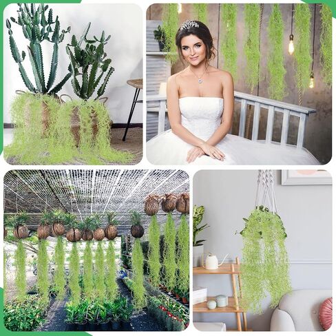 Cindeer 15 Pieces Faux Greenery Moss Realistic Spanish Moss Fake Moss for Potted Plants Hanging Moss Garland for Outdoor Indoor Crafts Halloween Decor(Green,33 Inch, 43 Inch) in Kuwait