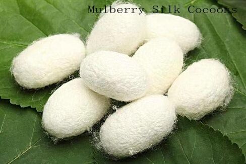 مجموعة خيط حرير مكونة من 30 بكرة حرير التوت الصيني الطبيعي النقي 100% للتطريز اليدوي 30 لونًا على بكرات خشبية ألوان متعددة ألوان مختلطة in Kuwait