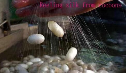 مجموعة خيط حرير مكونة من 30 بكرة حرير التوت الصيني الطبيعي النقي 100% للتطريز اليدوي 30 لونًا على بكرات خشبية ألوان متعددة ألوان مختلطة in Kuwait