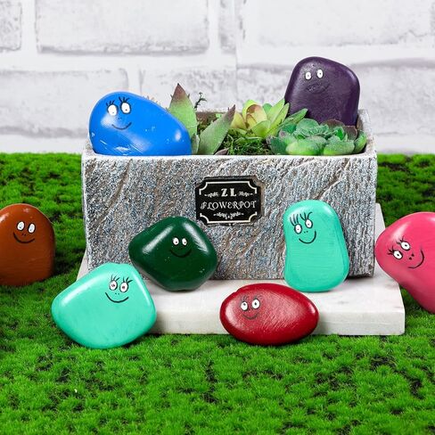 28 قطعة من صخور النهر للطلاء، 6 باوند 2-3 انش صخور كبيرة طبيعية للطلاء، صخور رسم حرفية مسطحة و12 فرشاة طلاء، احجار لطيفة لهدايا الكريسماس والحرف اليدوية والديكور in Kuwait