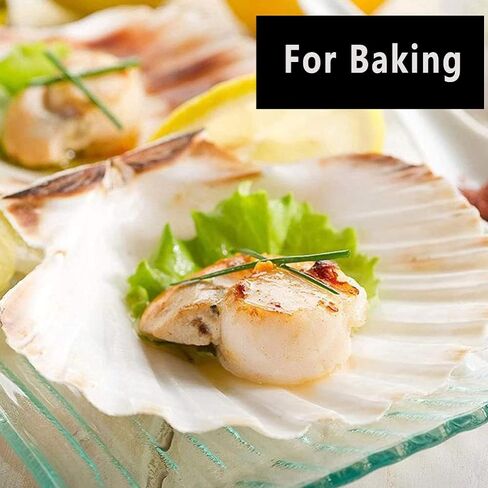 أصداف سكالوب Miraclekoo للحرف اليدوية، طلاء صدفي أبيض، صدف طبيعي بالجملة لديكور المنزل 2.5-3 بوصات، مجموعة من 20 in Kuwait