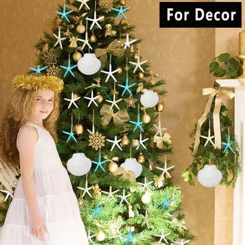 أصداف سكالوب Miraclekoo للحرف اليدوية، طلاء صدفي أبيض، صدف طبيعي بالجملة لديكور المنزل 2.5-3 بوصات، مجموعة من 20 in Kuwait