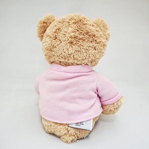 GUND “I’m The Big Brother" Message Bear with Blue T-Shirt, Teddy Bear Stuffed Animal for Ages 1 and Up, Brown, 12" in Kuwait