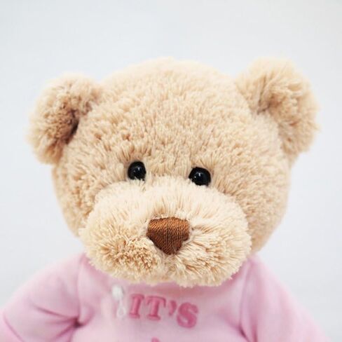 GUND “I’m The Big Brother" Message Bear with Blue T-Shirt, Teddy Bear Stuffed Animal for Ages 1 and Up, Brown, 12" in Kuwait