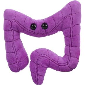 GIANTmicrobes Colon Plush - Anatomical Organ Toy, Get Well Gift for Intestinal Illness and Post-Surgery, Unique Gift for Students, Educators and Gastroenterologists in Saudi Arabia