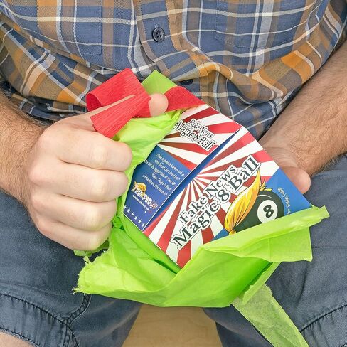 Fairly Odd Novelties TrumpedUp Build Your Own Border Wall Kit-Novelty Gag Box, Trump Joke Dad White Elephant Gift in Kuwait