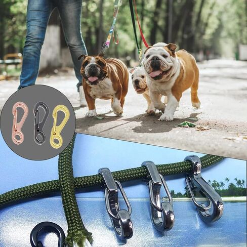 ZGQHZR 30 قطعة من خطافات الربيع المفاجئة لسلسلة مفاتيح صغيرة زنبركية معلقة بإبزيم صغير لسلسلة المفاتيح Paracord Keychian مشبك المشابك لسلسلة المفاتيح، حقيبة الظهر، تعليق الديكور، التخييم، سلاسل الكلاب in Kuwait