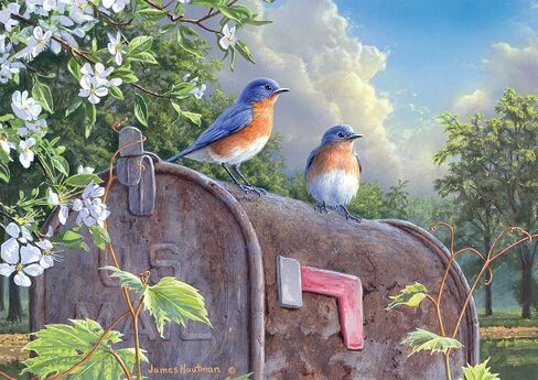 Buffalo Games - Country Life - Rural Route Bluebirds - 500 Piece Jigsaw Puzzle for Adults Challenging Puzzle Perfect for Game Nights - 500 Piece Finished Size is 21.25 x 15.00 in Saudi Arabia