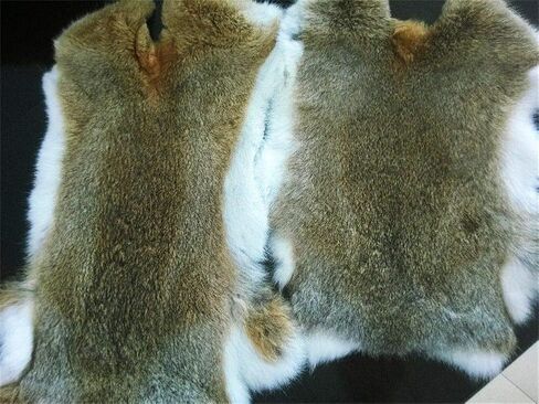 2pcs Natural Tanned Rabbit Fur Hide (10" by 12" Rabbit Pelt with Sewing Quality Leather) in Saudi Arabia