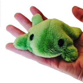 Baby Bean Frog Plush, 7inch Cute Soft Fluffy Frog Stuffed Animal Weighted Frog Plushie Toy with Plastic Pellets, Stress Release Birthday Xmas Travel Gift for Kids Adults Girls Boys