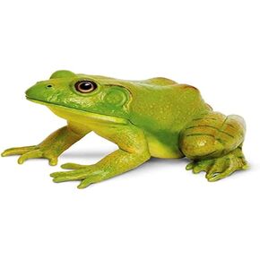 Safari Ltd Incredible Creatures American Bullfrog in Saudi Arabia