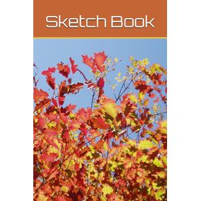 Sketch Book: Notebook for Drawing, Writing, Painting, Sketching or Doodling, 120 Pages (Spanish Edition) in Kuwait