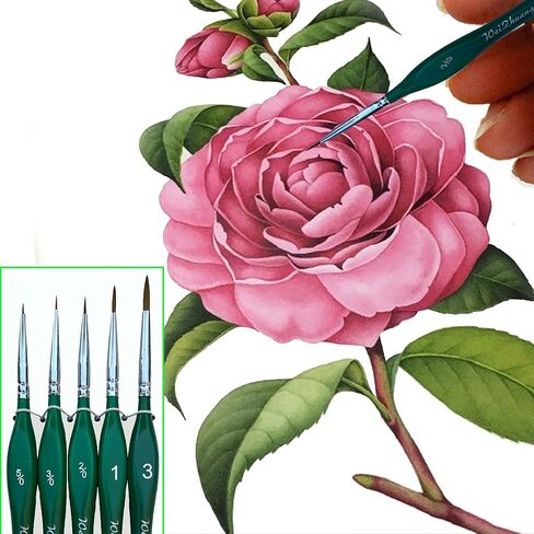 مجموعة 5 فرش طلاء تفصيلية، مجموعة فرش طلاء مصغرة، فرشاة رسم بتفاصيل دقيقة، مجموعة فرش دهانات صغيرة احترافية للألوان المائية والزيت والنماذج والوجه والأكريليك والأظافر ومطرقة زيتية 40 كيلو in Kuwait