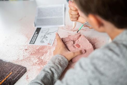 4M Toysmith 3D Dinosaur Hologram Projector Kit العلوم للأطفال in Kuwait
