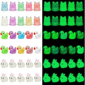 30 قطعة من الراتنج المضيء على شكل حيوان صغير لطيف يتوهج في الظلام، تماثيل مصغرة للحيوانات DIY إكسسوارات زينة لحرف تزيين بيت الدمى في الحديقة in Kuwait