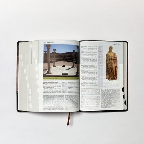KJV, The King James Study Bible, Leathersoft, Brown, Thumb Indexed, Red Letter, Full-Color Edition: Holy Bible, King James Version in Saudi Arabia