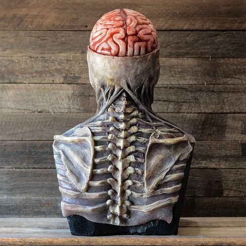 AUSTUFF هالوين الجمجمة قناع كامل رئيس قناع مخيف مخيف اللاتكس خوذة واقعية اللاتكس الهيكل العظمي الدعائم هالوين تأثيري زي الحفلات in Kuwait