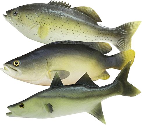 3 Pcs Lifelike Fake Fish Set, Realistic Artificial Sea Fish Model for Aquarium Display, Restaurant Showcase Ornaments, Stage Drama & Photography Props in Saudi Arabia
