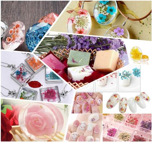 12pcs Natural Dried Flowers Real Flower Pressed Sakura Flower Scrapbooking Embellishments for DIY Resin Ornament Crafts Candle Making in Saudi Arabia