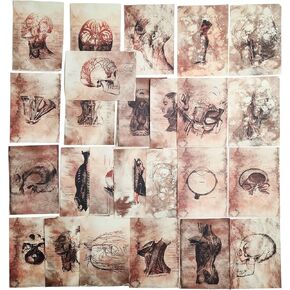 Vilikya 25pcs Junk Journal Supplies Vintage Anatomy Theme Ephemera Kit for DIY Scrapbook,Decoupage Paper, Collage Card, Bookmark Tag Art Bullet,Card Making, Mixed Media in Kuwait