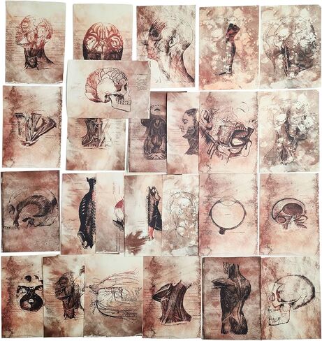 Vilikya 25pcs Junk Journal Supplies Vintage Anatomy Theme Ephemera Kit for DIY Scrapbook,Decoupage Paper, Collage Card, Bookmark Tag Art Bullet,Card Making, Mixed Media in Kuwait