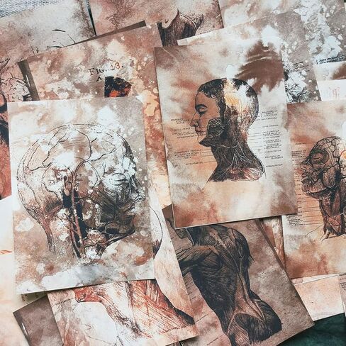 Vilikya 25pcs Junk Journal Supplies Vintage Anatomy Theme Ephemera Kit for DIY Scrapbook,Decoupage Paper, Collage Card, Bookmark Tag Art Bullet,Card Making, Mixed Media in Kuwait