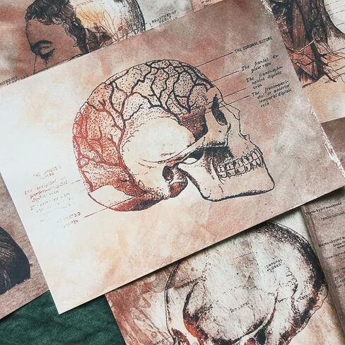 Vilikya 25pcs Junk Journal Supplies Vintage Anatomy Theme Ephemera Kit for DIY Scrapbook,Decoupage Paper, Collage Card, Bookmark Tag Art Bullet,Card Making, Mixed Media in Kuwait