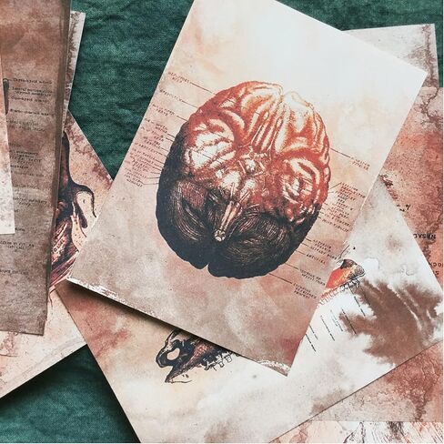 Vilikya 25pcs Junk Journal Supplies Vintage Anatomy Theme Ephemera Kit for DIY Scrapbook,Decoupage Paper, Collage Card, Bookmark Tag Art Bullet,Card Making, Mixed Media in Kuwait