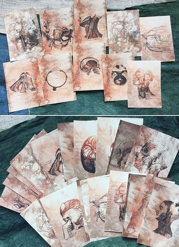 Vilikya 25pcs Junk Journal Supplies Vintage Anatomy Theme Ephemera Kit for DIY Scrapbook,Decoupage Paper, Collage Card, Bookmark Tag Art Bullet,Card Making, Mixed Media in Kuwait